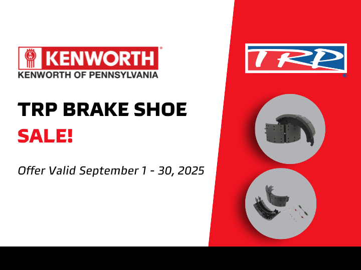 TRP Brake Shoe Sale