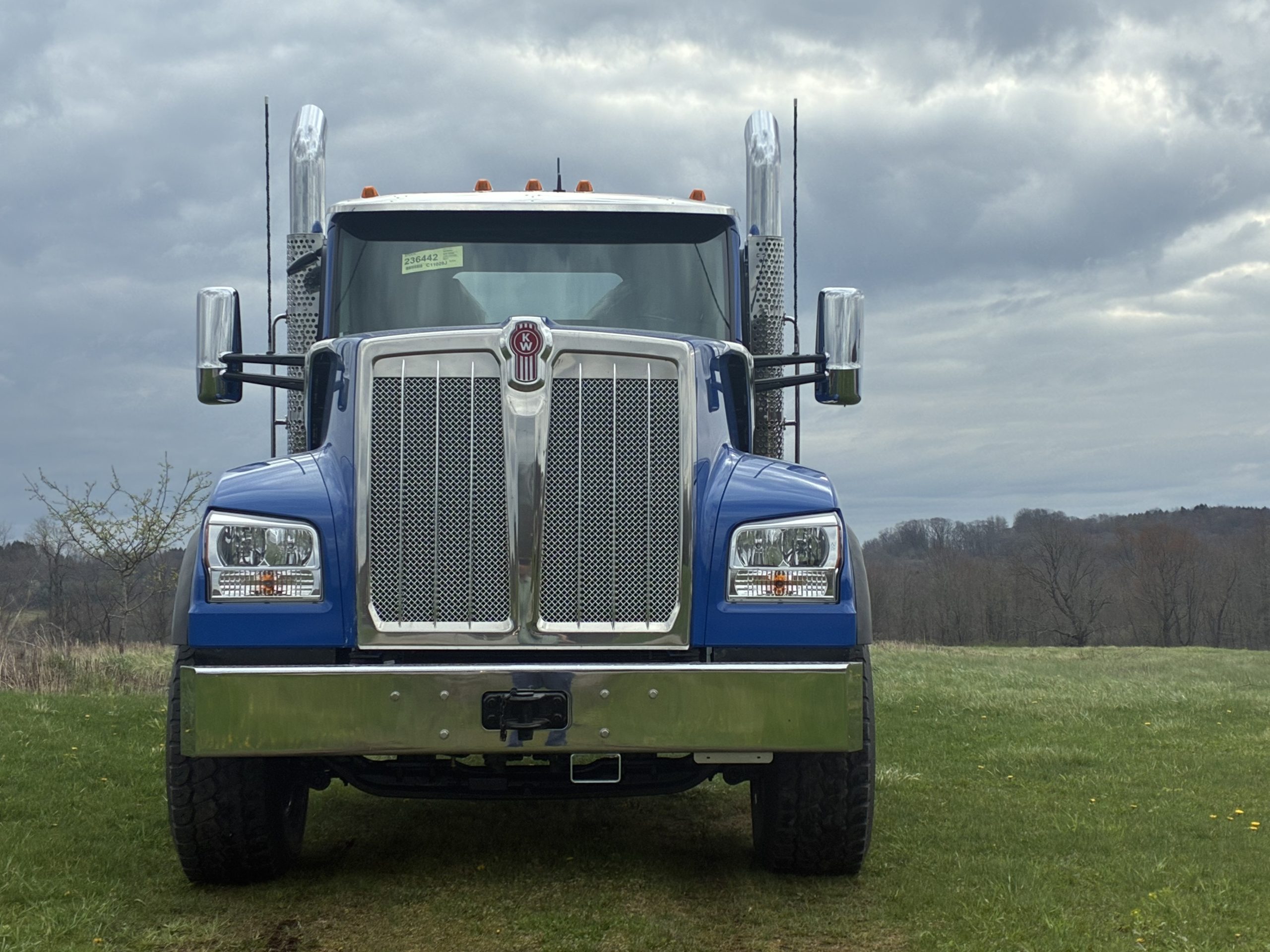 2027 KENWORTH W990 - image 6 of 6